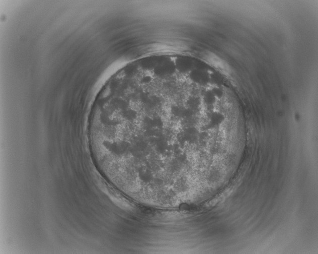 X0000072511427200608041455