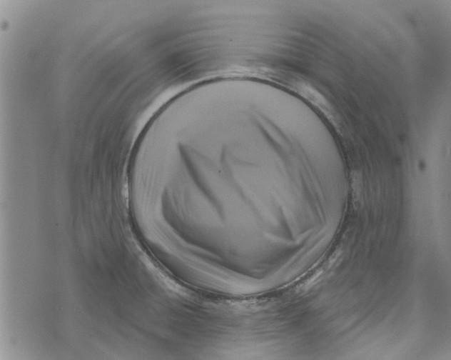 X0000072511428200608041455