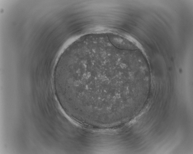 X0000072511429200608041455