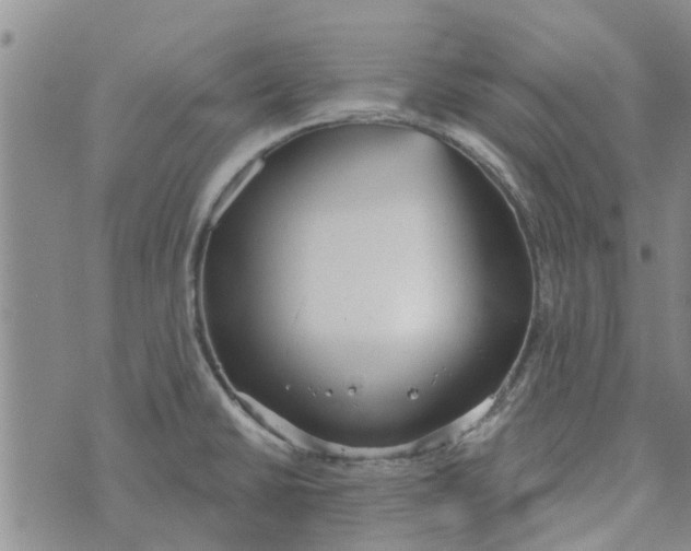 X0000072511430200608041455