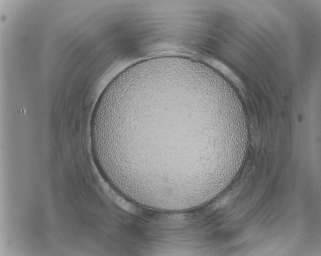 X0000072511431200608041455