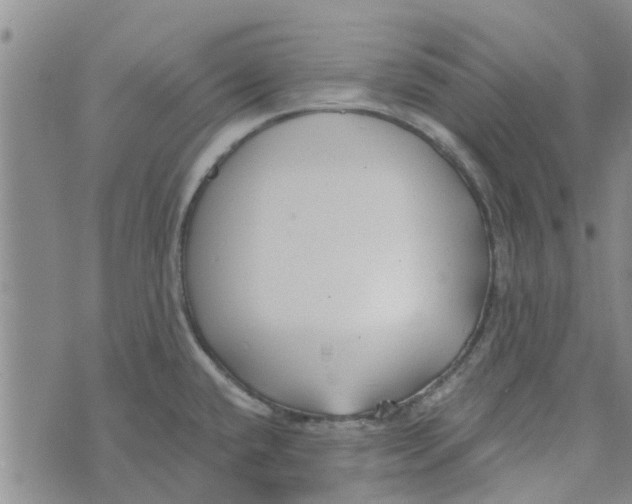 X0000072511432200608041455