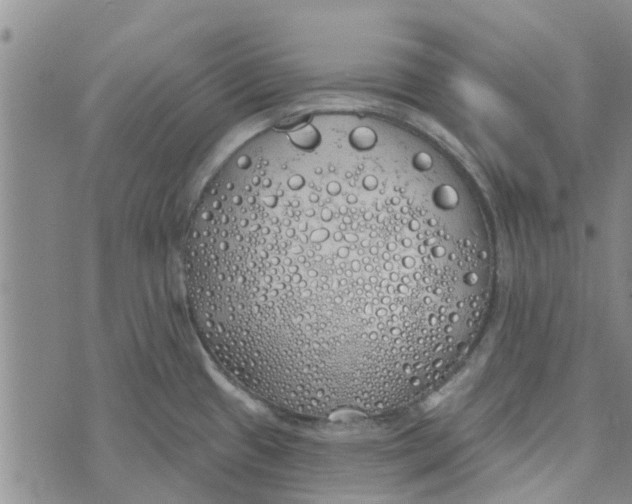 X0000072511433200608041455