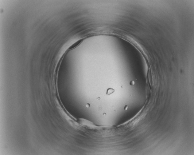 X0000072511434200608041455