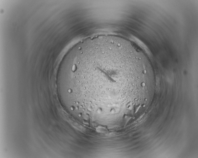 X0000072511435200608041455