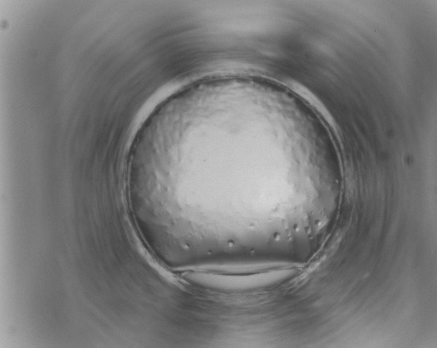 X0000072511437200608041455