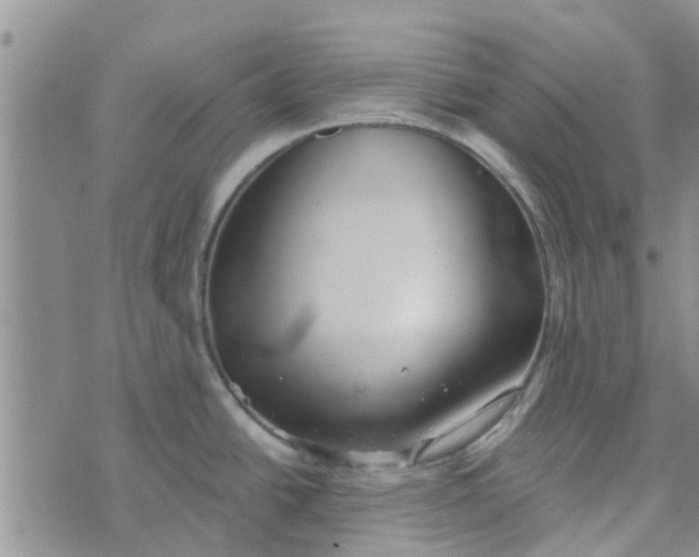 X0000072511438200608041455