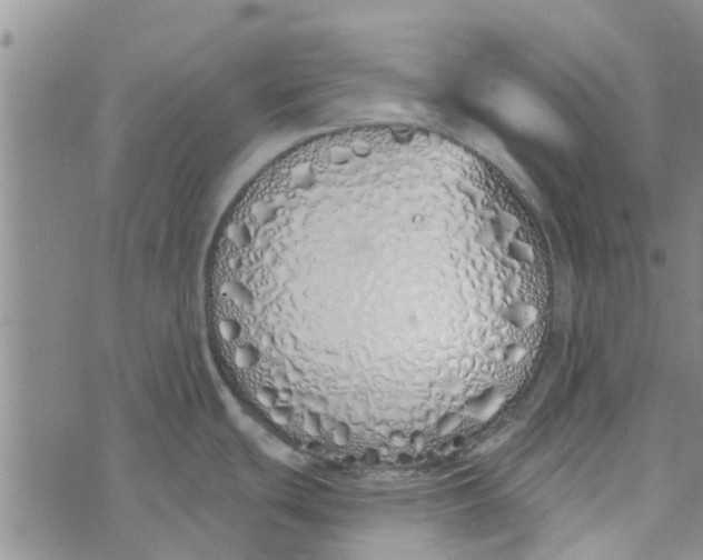 X0000072511439200608041455