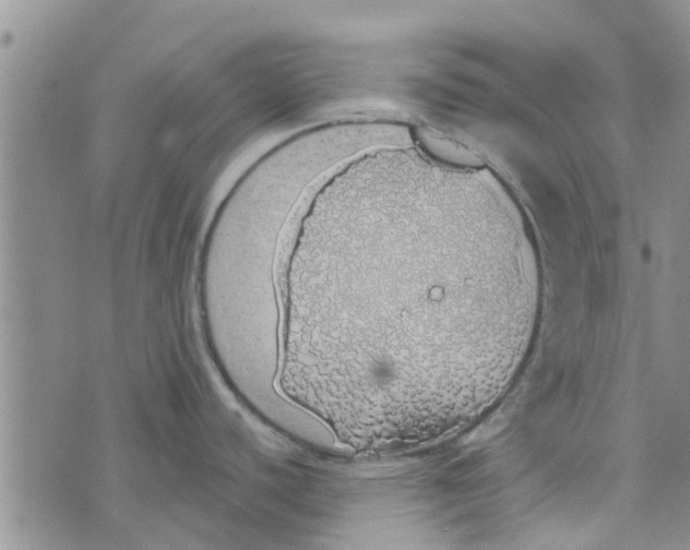 X0000072511440200608041455