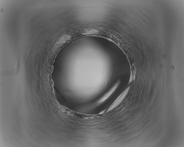 X0000072511441200608041454