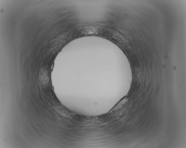 X0000072511442200608041454