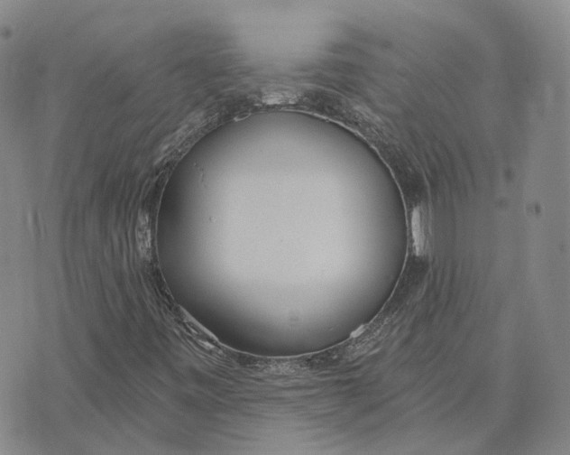 X0000072511443200608041454