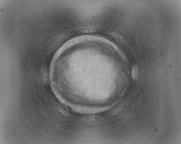 X0000072511444200608041454