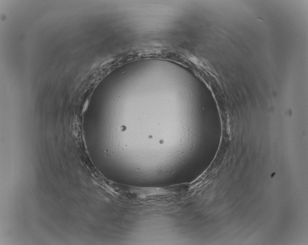 X0000072511445200608041454