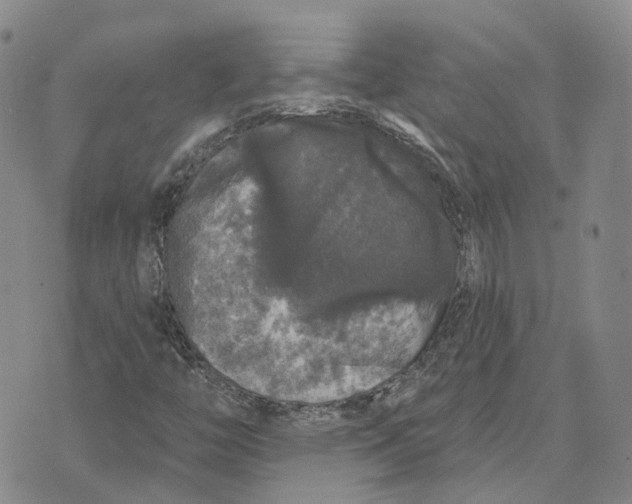 X0000072511446200608041454