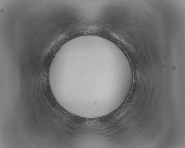 X0000072511447200608041454