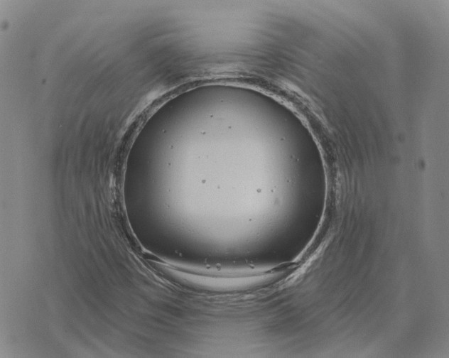 X0000072511449200608041454