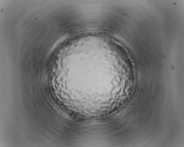 X0000072511450200608041454