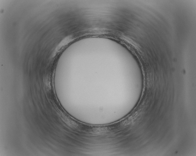 X0000072511451200608041454