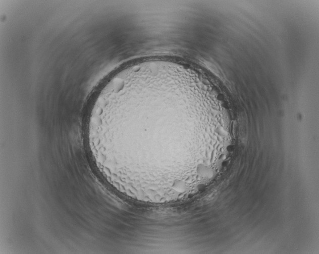 X0000072511452200608041454