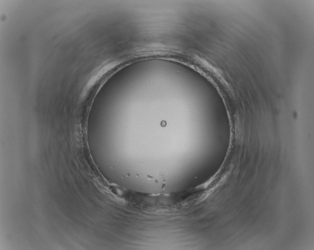 X0000072511453200608041454