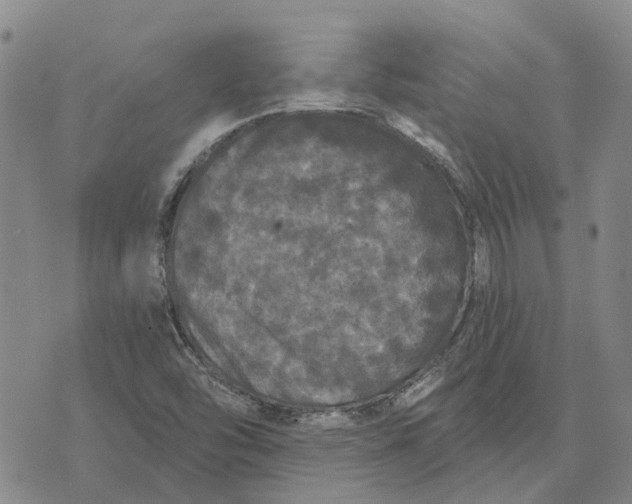 X0000072511454200608041454