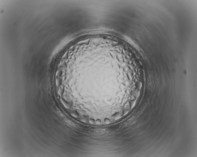 X0000072511456200608041454