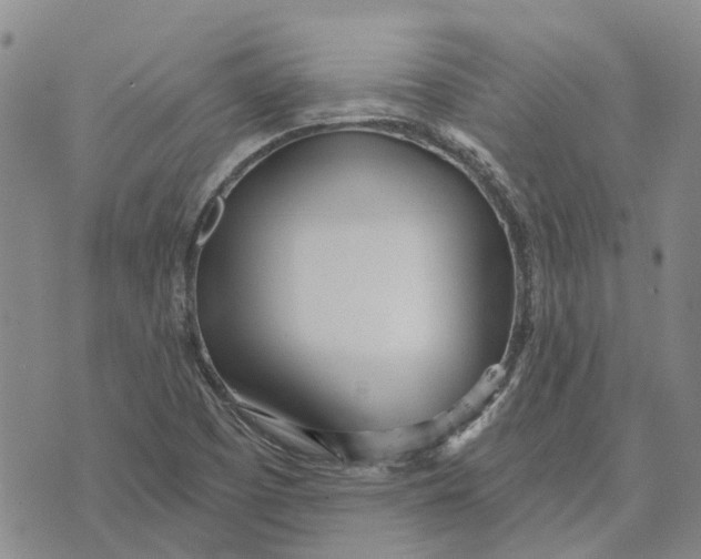 X0000072511457200608041454