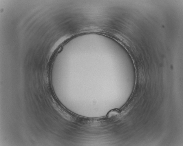 X0000072511458200608041454