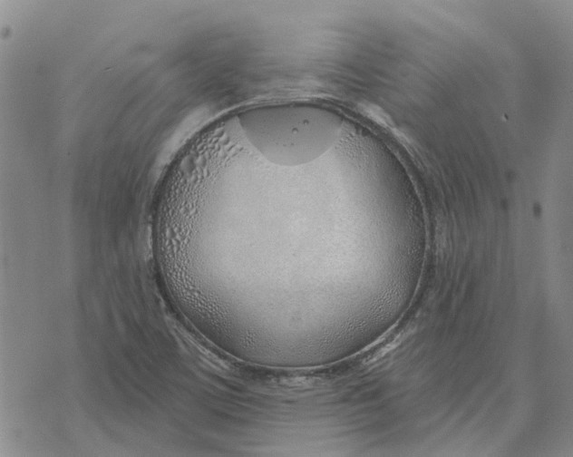 X0000072511459200608041454