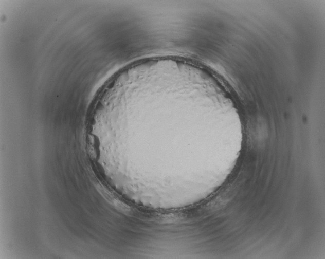 X0000072511460200608041454