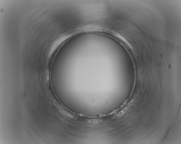 X0000072511461200608041454