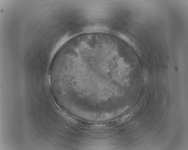 X0000072511462200608041454