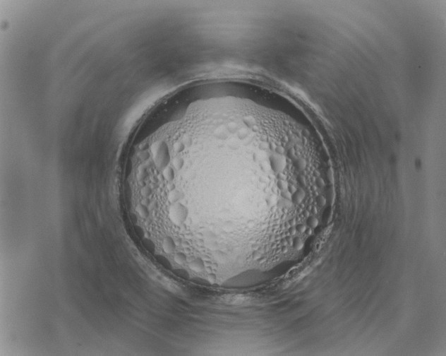 X0000072511463200608041454