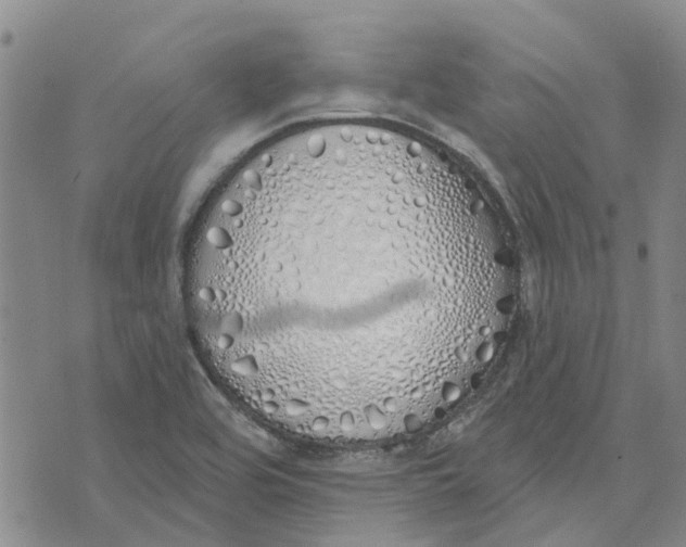 X0000072511464200608041454