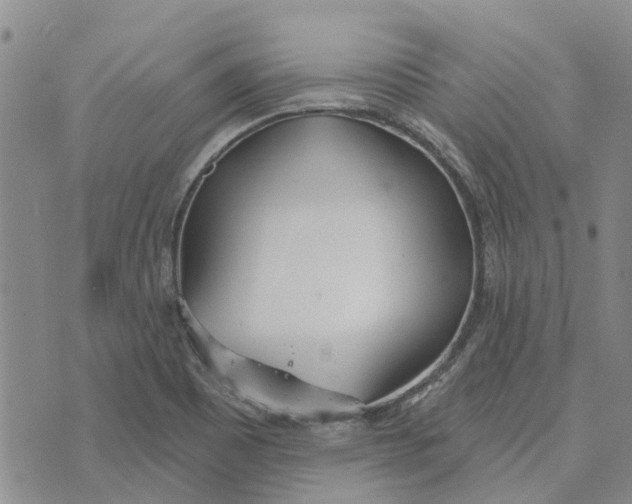 X0000072511465200608041454