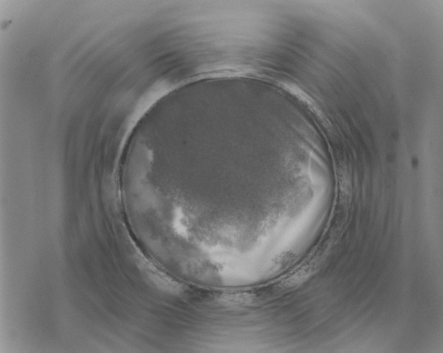 X0000072511466200608041454