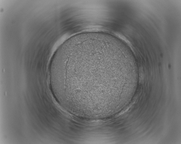 X0000072511467200608041454