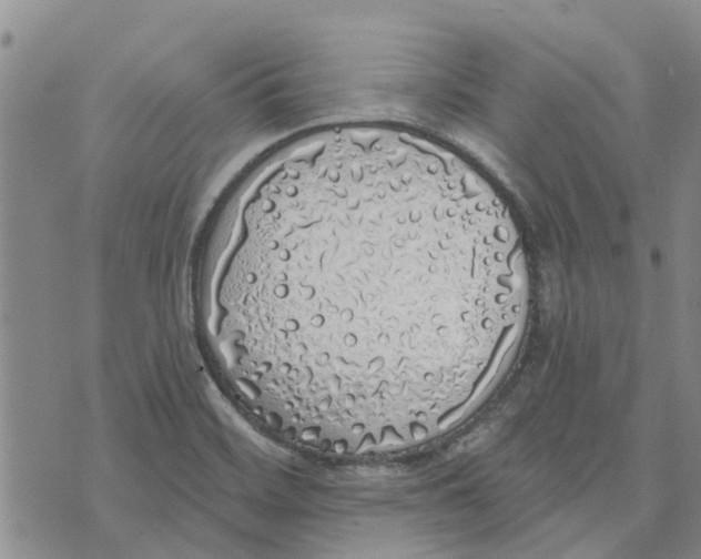 X0000072511468200608041454