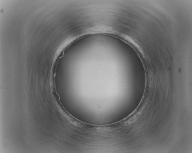 X0000072511469200608041454