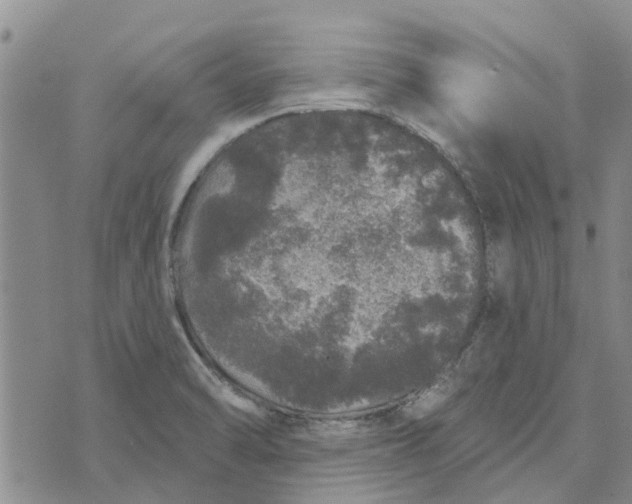 X0000072511470200608041454