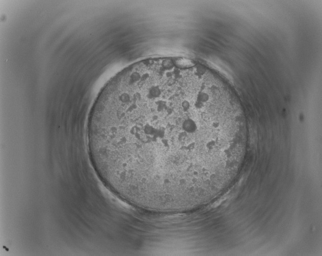 X0000072511471200608041454