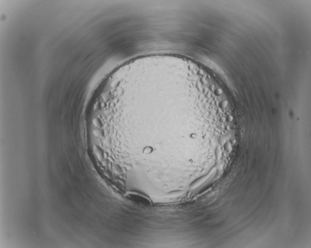 X0000072511472200608041454