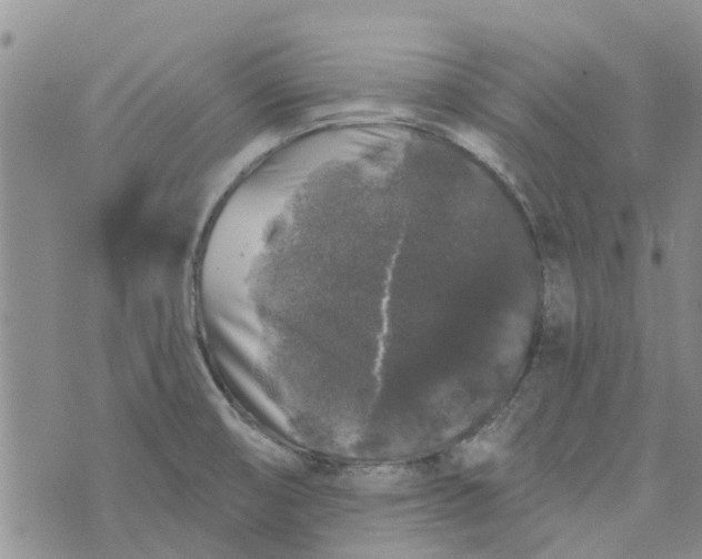 X0000072511474200608041454