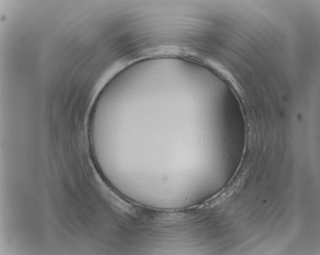 X0000072511475200608041454