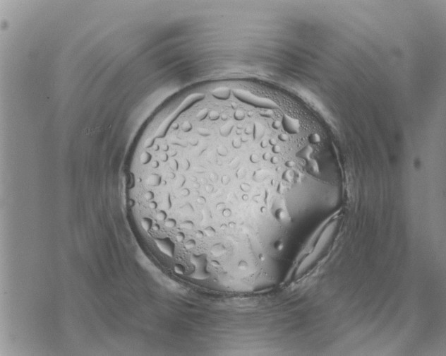 X0000072511476200608041454