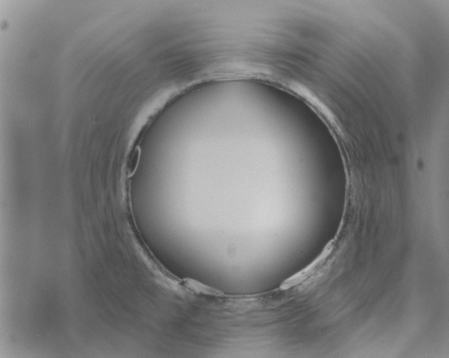 X0000072511477200608041454