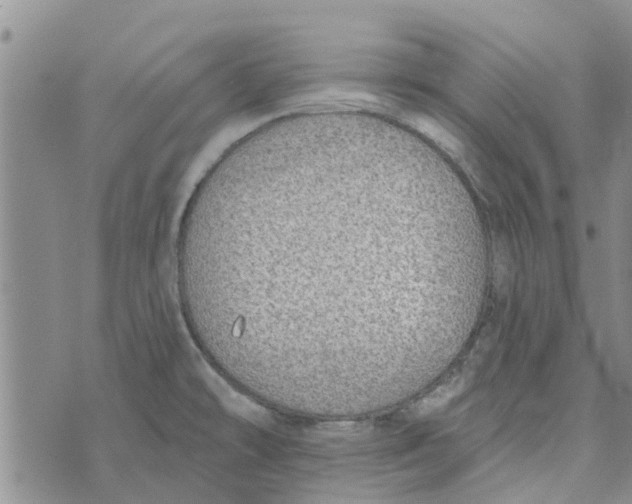 X0000072511478200608041454