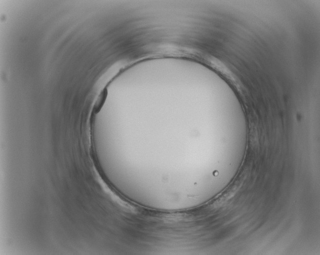 X0000072511479200608041454