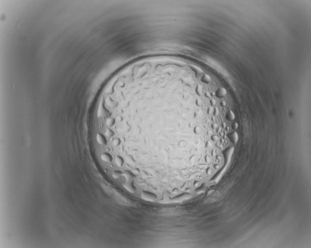 X0000072511480200608041454